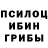Галлюциногенные грибы Psilocybe Renat Grin