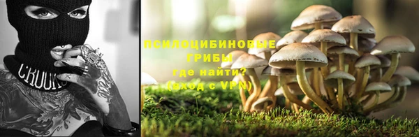шишки Медногорск