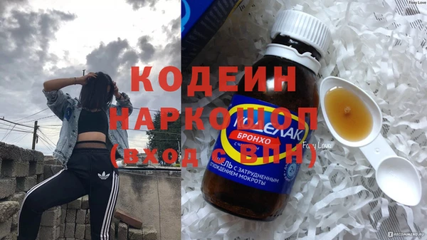гидра Анжеро-Судженск