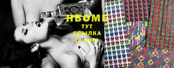 стаф Анива