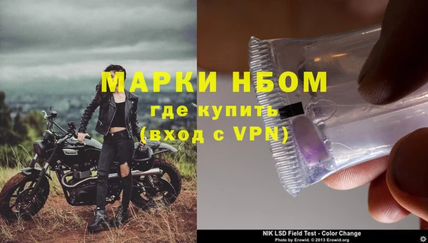 молекула духа Михайлов