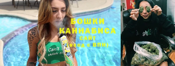 гидра Анжеро-Судженск